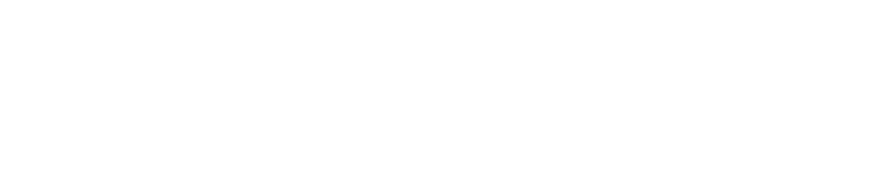 NUMERIICA